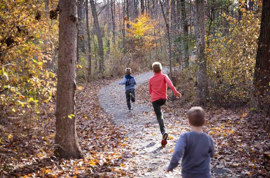 the children of the family skip down a wooded pathway